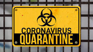 Quarantine Survival Guide