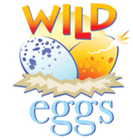 An Eggcellent Experience