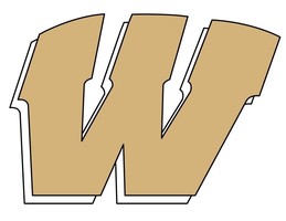 This Week in Sports - UPDATED! Week of 8/16/2020!!