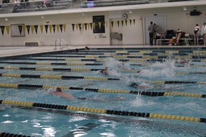 DIVING FOR GREATNESS