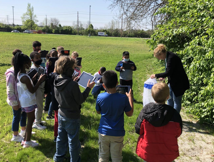 Butterfly Release