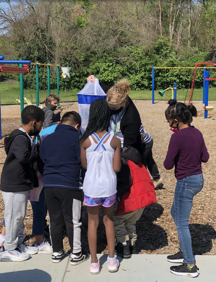 Butterfly Release