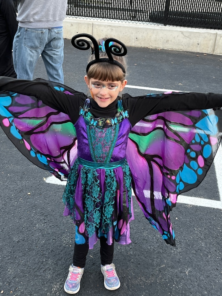 Fall Festival