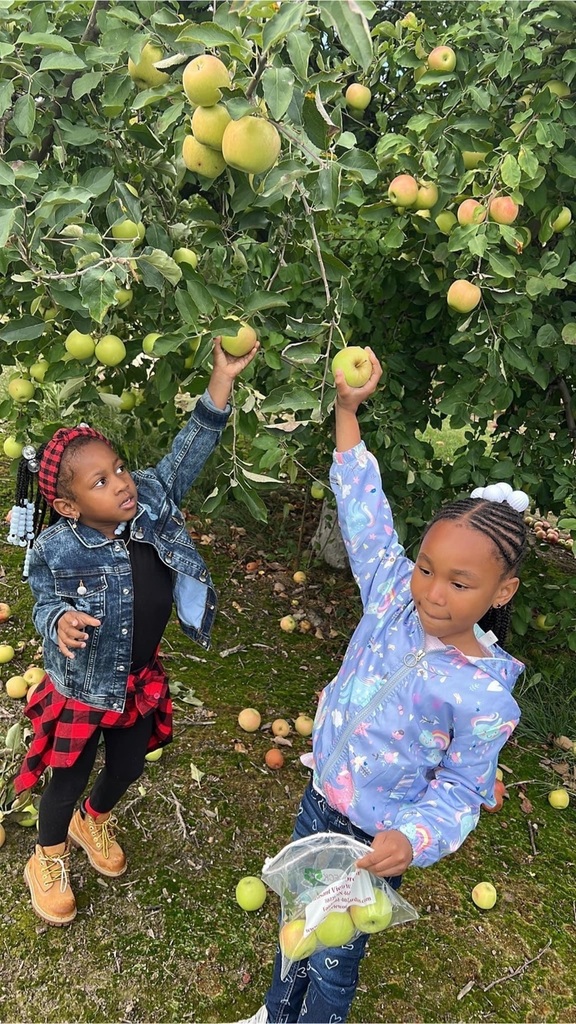 Kindergarten Apple Orchard