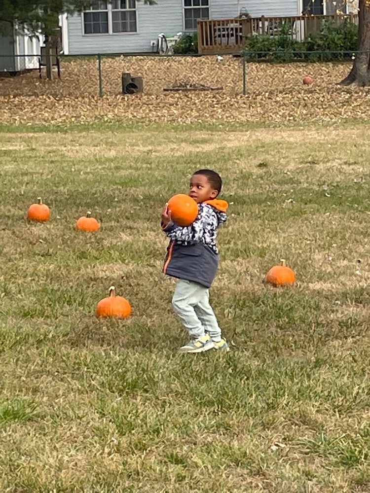 boy pumpkin